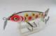 Deepworld.RP.lure/Cordell Crazy Shad