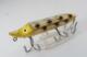 Deepworld.RP.lure/Heddon.Vamp Spook