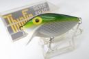 Storm/Silver Shad  F