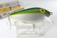 Storm/Silver Shad  F