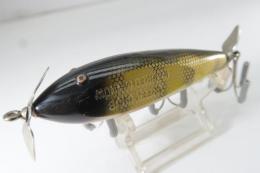 Creek Chub / Injured Minnow