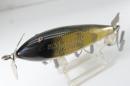 Creek Chub / Injured Minnow