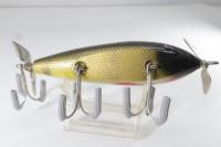 Creek Chub / Injured Minnow