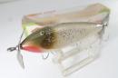 Creek Chub / Injured Minnow