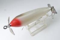 Creek Chub / Injured Minnow