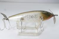 Creek Chub / Injured Minnow