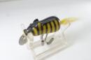 Creek Chub / Field Mouse