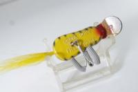 Creek Chub / Field Mouse