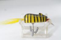 Creek Chub / Field Mouse
