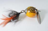 Worth / Flutter-Fin  　