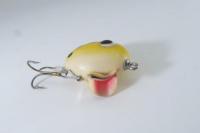 South Bend / Fin-Dingo　