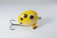 South Bend / Fin-Dingo　