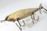 Creek Chub / Injured Minnow