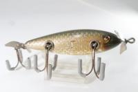 Creek Chub / Injured Minnow