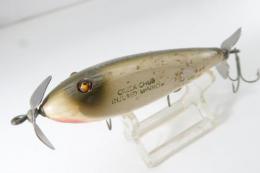 Creek Chub / Injured Minnow