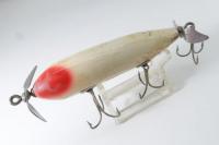 Creek Chub / Injured Minnow