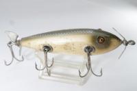 Creek Chub / Injured Minnow