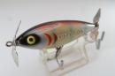 Deepworld.RP.lure/Cordell Crazy Shad
