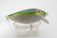 Storm/Silver Shad